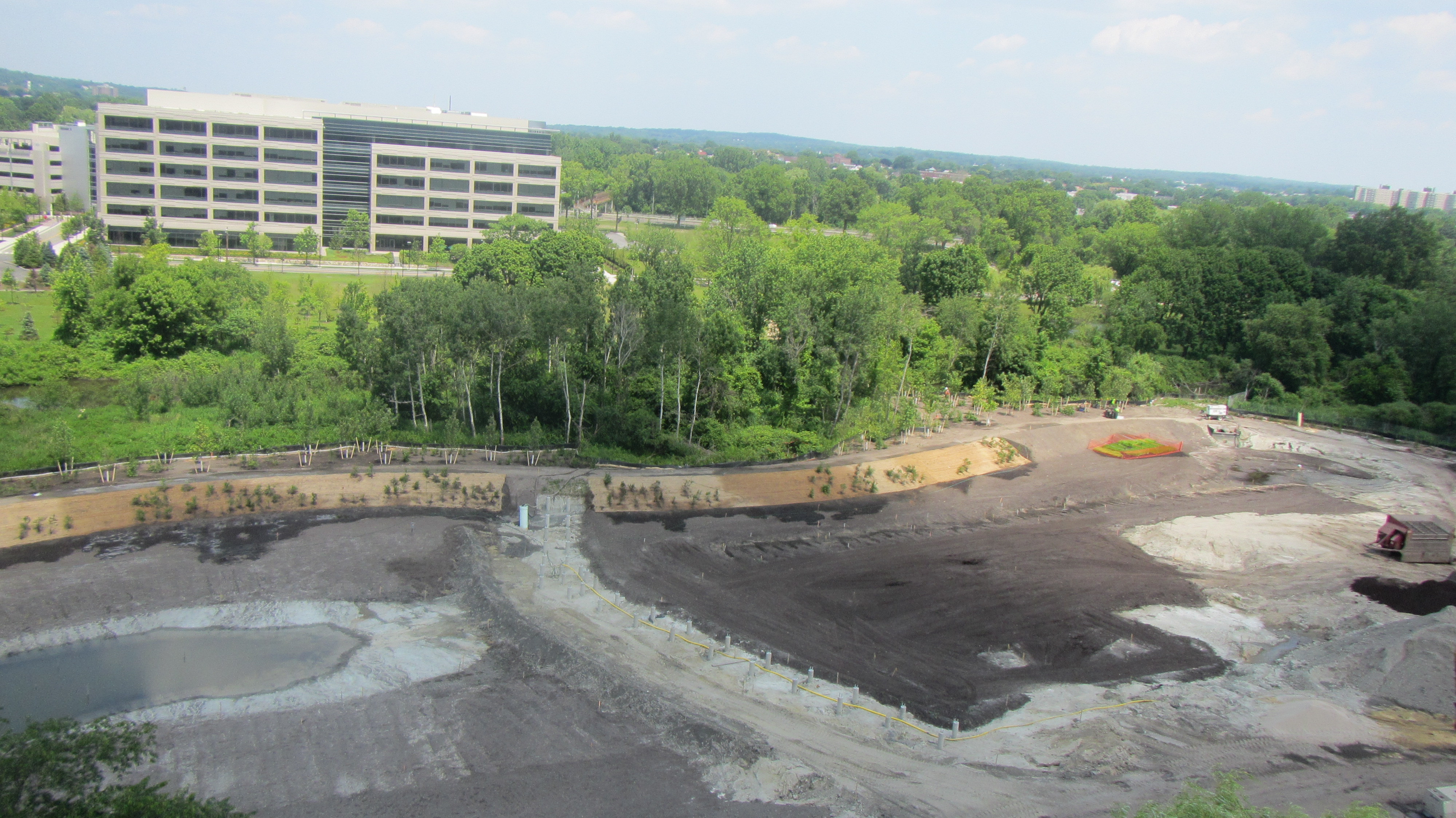 riparian planting and footings for boardwalk and overlook_June 21 2012